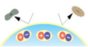conventional_ionic_lens_02-1