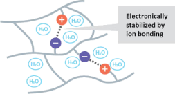 bifocal_electronically_stabilized