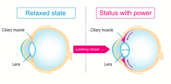 eye_state